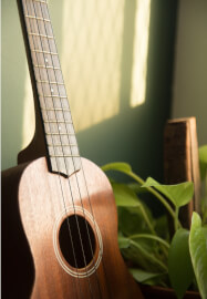 Ukulele Course for Beginners