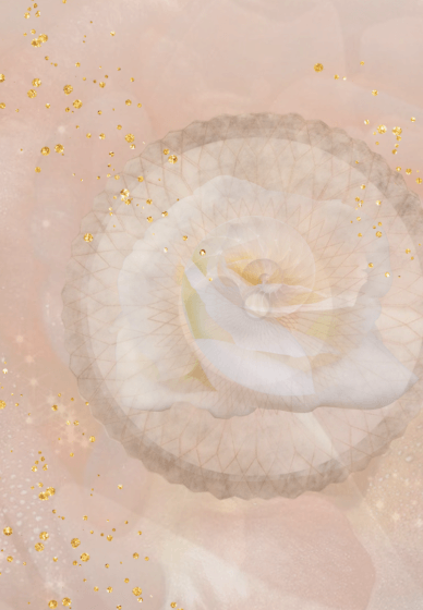 Unveiling the Inner Current of Your Heart Course