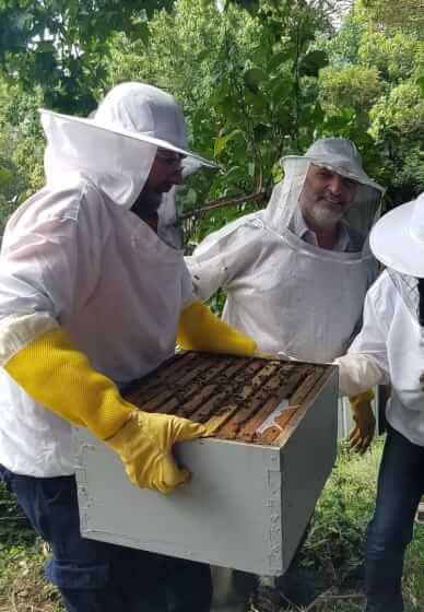Urban Beekeeping Workshop for Beginners Sydney | Gifts | ClassBento