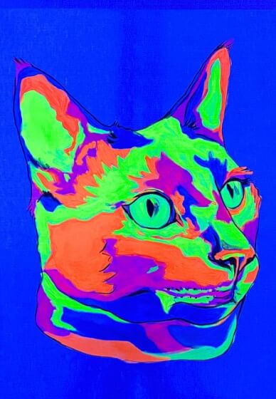 UV Glow in the Dark Paint Your Pet Berwick