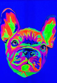 UV Glow in the Dark Paint Your Pet Berwick