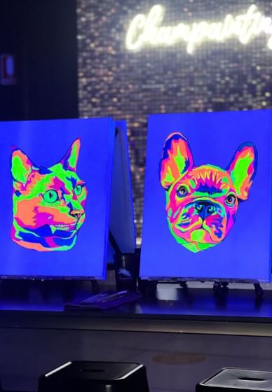 UV Glow in the Dark Paint Your Pet Berwick