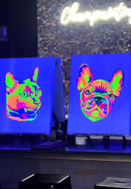 UV Glow in the Dark Paint Your Pet Berwick