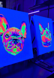 UV Glow in the Dark Paint Your Pet Berwick