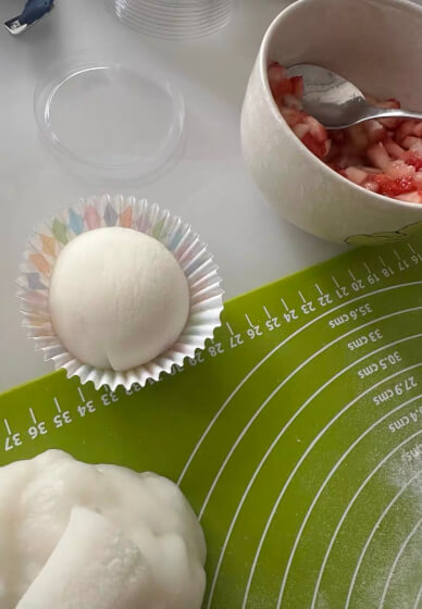 Vegan Daifuku Making Class