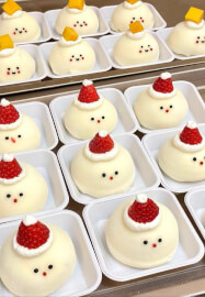 Vegan Daifuku Making Class