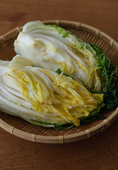 Vegan Fermentation Workshop: Kimchi