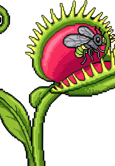 Venus Flytrap' Fun Terrarium Workshop for Kids