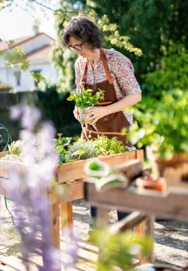 Virtual Garden Consultation with Qualified Horticulturalist