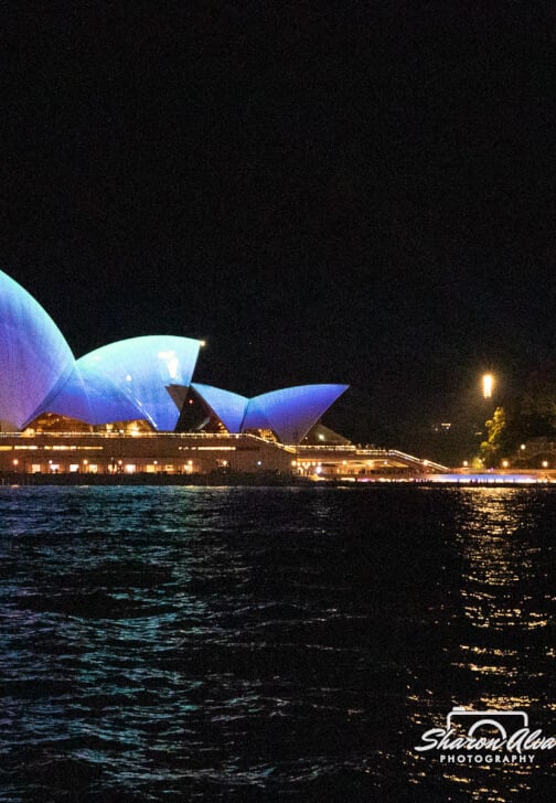 Vivid Sydney Photography Workshop for Beginners