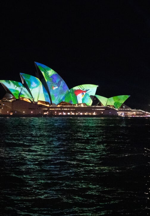 Vivid Sydney Photography Workshop for Beginners