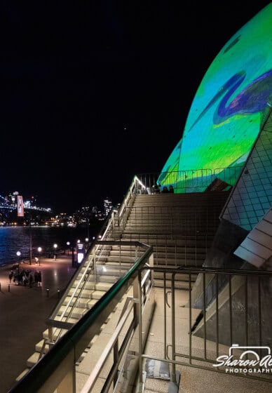Vivid Sydney Photography Workshop for Beginners