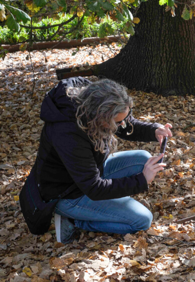 Warburton Photo Walk Workshop