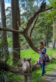 Warburton Photo Walk Workshop