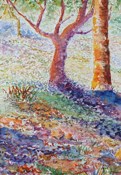 Watercolour Art Class for Beginners