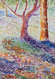 Watercolour Art Class for Beginners