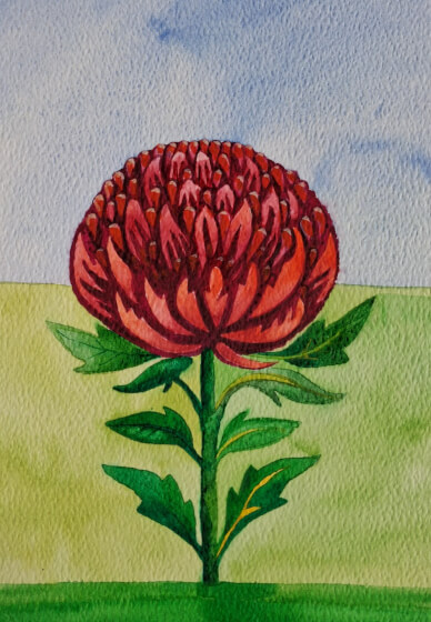 Watercolour Art Class for Beginners