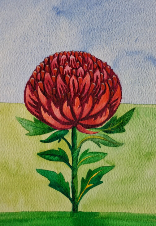 Watercolour Art Class for Beginners