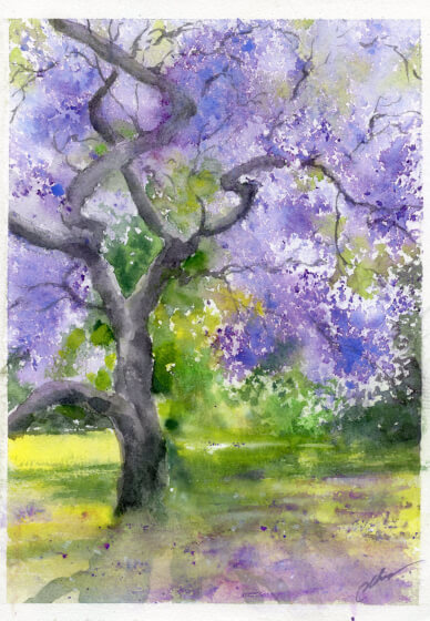 Watercolour Class for Intermediate Learners