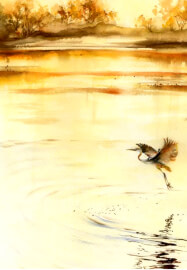 Watercolour Class for Intermediate Learners