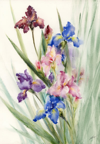 Watercolour Class for Intermediate Learners