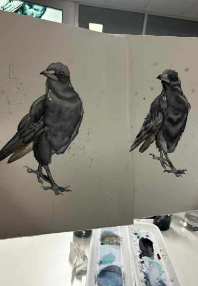 Watercolour Class: Paint a Magpie
