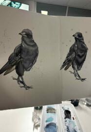 Watercolour Class: Paint a Magpie