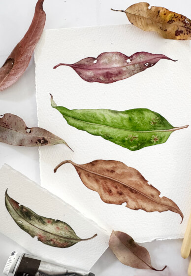 Watercolour Leaf Painting Class for Beginners
