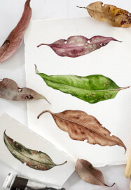 Watercolour Leaf Painting Class for Beginners