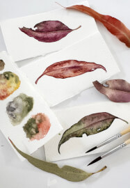 Watercolour Leaf Painting Class for Beginners