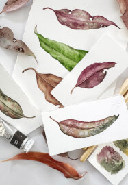 Watercolour Leaf Painting Class for Beginners