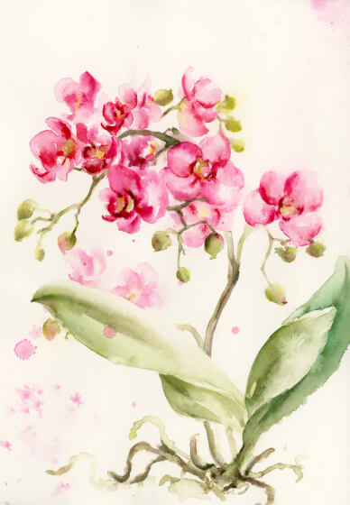 Watercolour Painting Workshop for Beginners