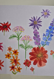 Watercolour Painting Workshop for Beginners