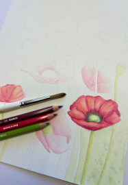 Watercolour Pencil Technique Workshop
