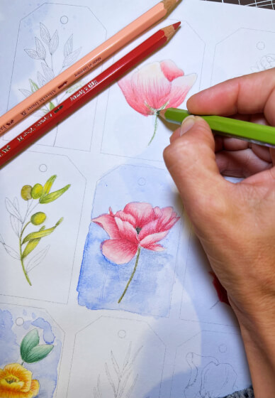 Watercolour Pencil Technique Workshop