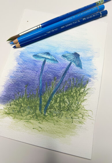 Watercolour Pencil Technique Workshop