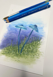 Watercolour Pencil Technique Workshop