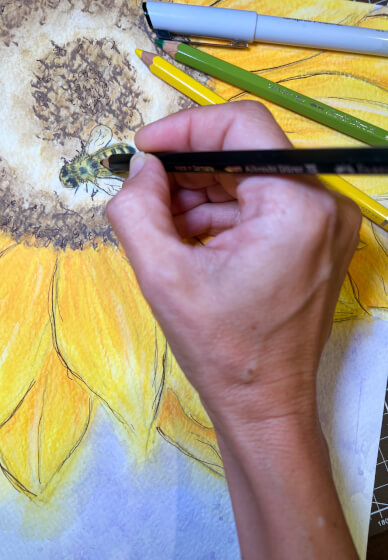 Watercolour Pencil Technique Workshop