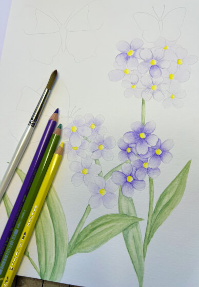 Watercolour Pencil Technique Workshop
