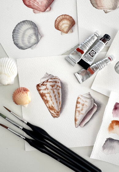 Watercolour Shell Painting Class for Beginners