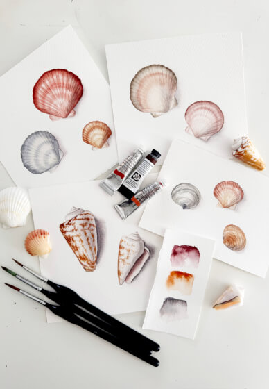 Watercolour Shell Painting Class for Beginners