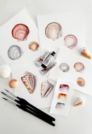 Watercolour Shell Painting Class for Beginners