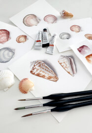 Watercolour Shell Painting Class for Beginners