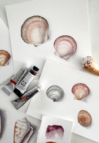 Watercolour Shell Painting Class for Beginners