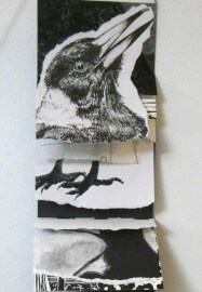 Waterfall Art Book Class