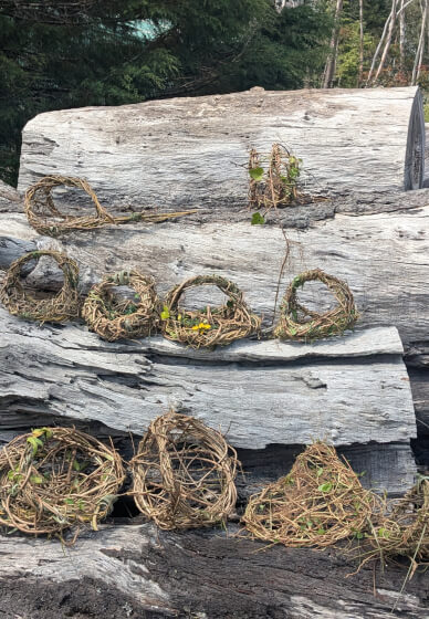Weaving with Weeds Outdoor Workshop