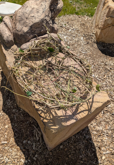 Weaving with Weeds Outdoor Workshop