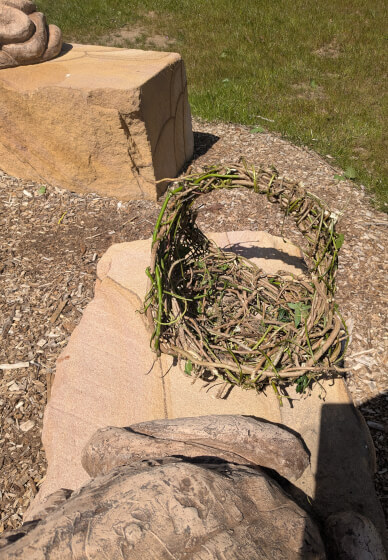 Weaving with Weeds Outdoor Workshop
