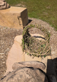 Weaving with Weeds Outdoor Workshop