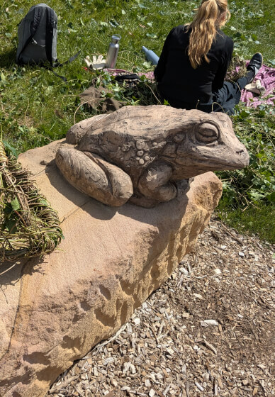 Weaving with Weeds Outdoor Workshop